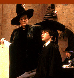 What is the Hogwarts Sorting Hat?